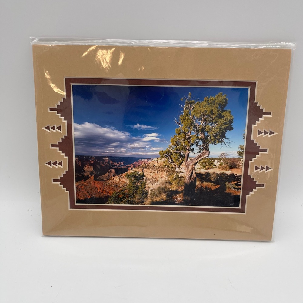 South Rim Studio Grand Canyon Matted Photography Print 8x10 KV Johnson